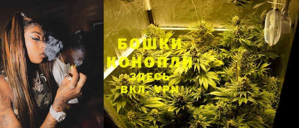 индика Волоколамск