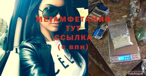 индика Волоколамск