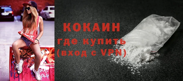 индика Волоколамск