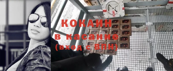 гидра Сясьстрой