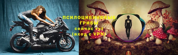 MDMA Premium VHQ Волосово
