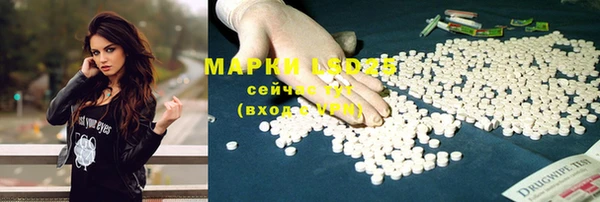 индика Волоколамск