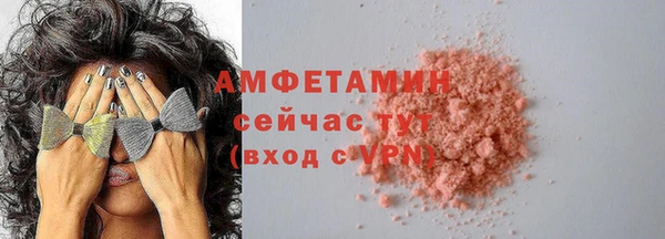 индика Волоколамск