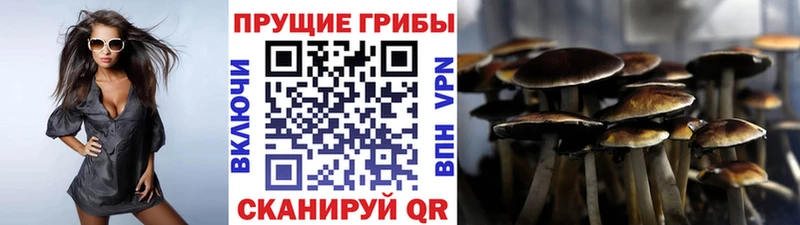 omg зеркало  Княгинино  Псилоцибиновые грибы Cubensis  что такое наркотик 